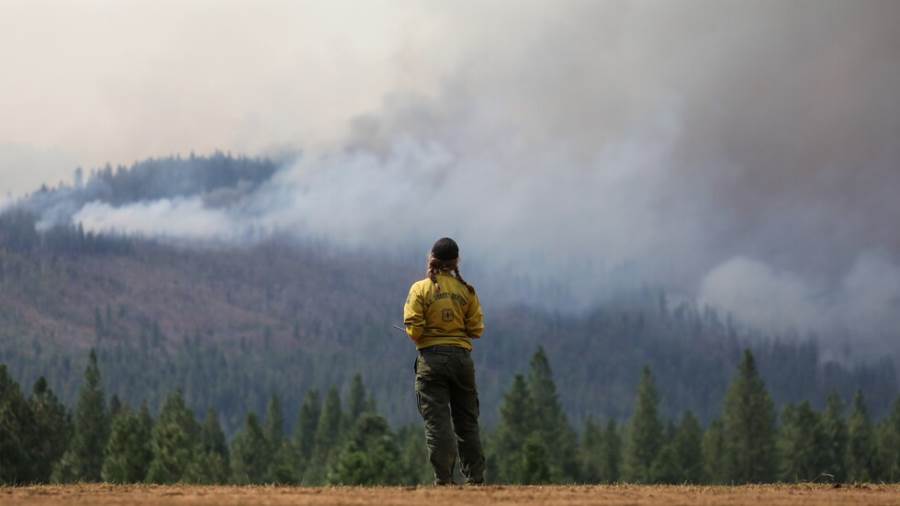 علاقة الحرائق بزيادة إصابات ووفيات كورونا