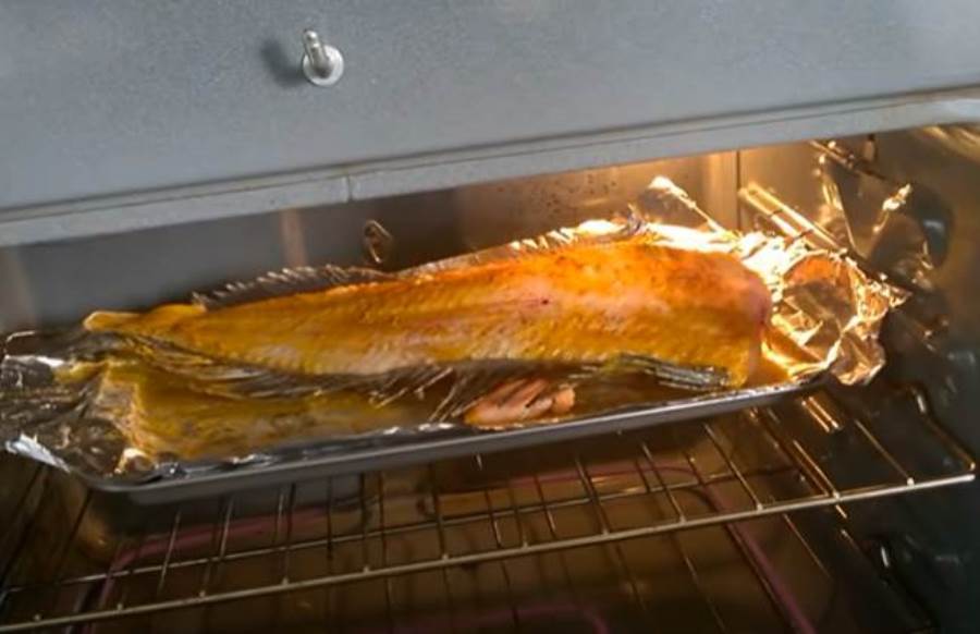 بالفيديو .. سمكة راسها مقطوعة "بتتنطط" فى صينية داخل الفرن