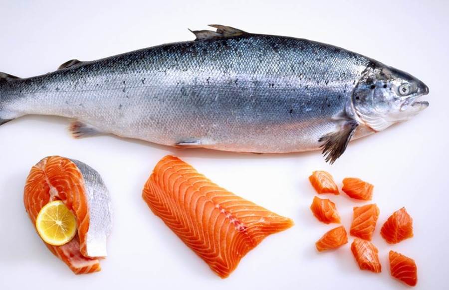 دراسة: تناول سمك السلمون يقلل الإصابة بسرطان الأمعاء بنسبة 50%