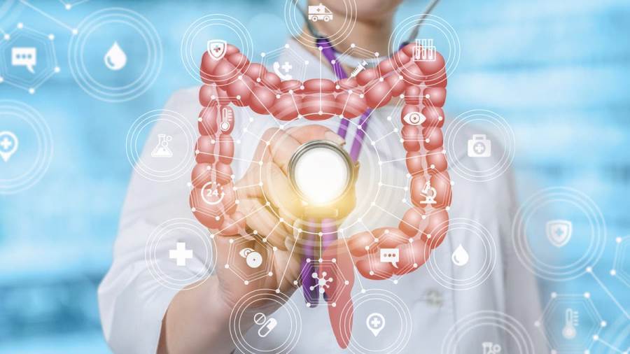 الدماغ والأمعاء