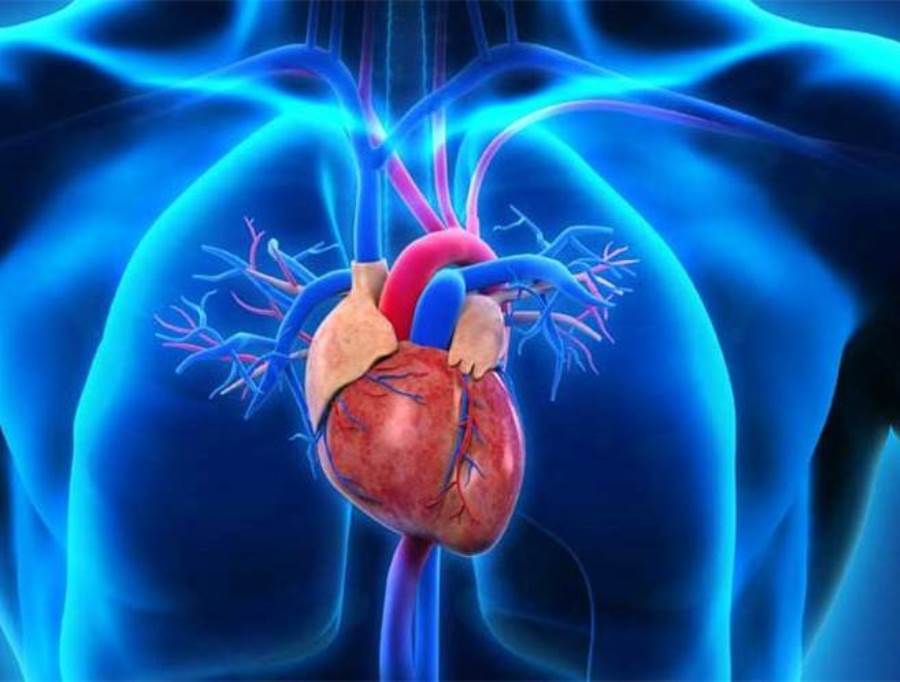 4 طرق للوقاية من أمراض القلب