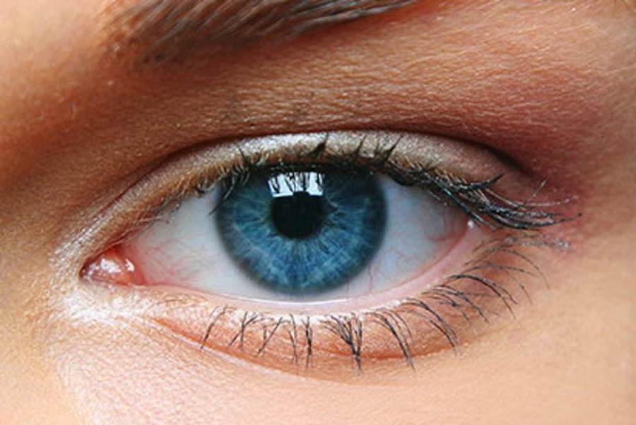 حقيقة انتقال أوميكرون من خلال العين .. دراسة طبية توضح