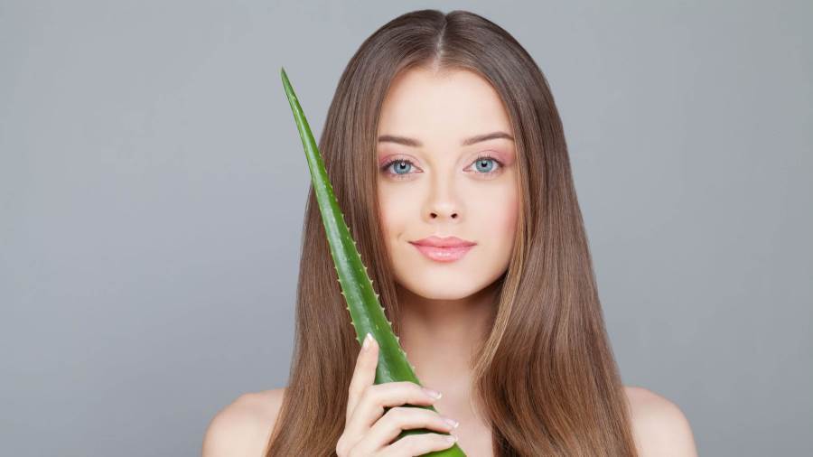 استخدام الصبار لعلاج حب الشباب