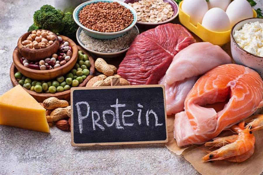  هل تناول البروتين يمنحك الطاقة التى يحتاجها الجسم؟