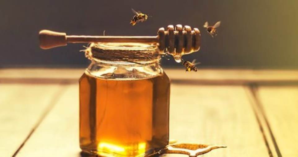  ما علاقة العسل بصحة القلب؟ دراسة جديدة تكشف ذلك