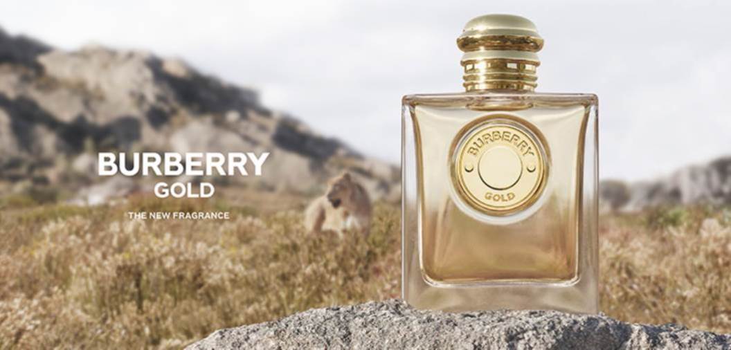 نفحات الفانيليا الآسرة تغمر العطر الجديد BURBERRY GOLD المركّز