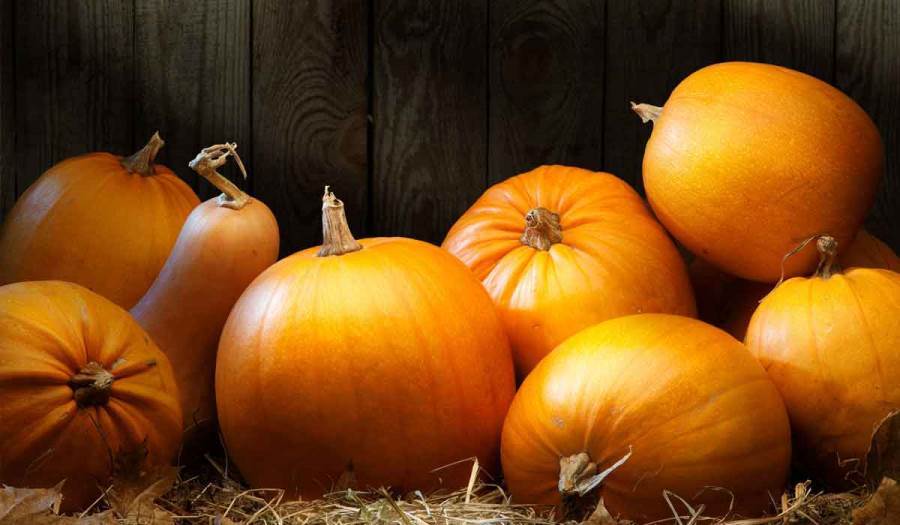 ماذا نأكل مع قرع العسل لزيادة فعاليته في فقدان الوزن؟