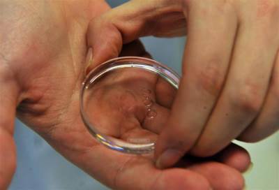 أعلان ولادة أول طفل من بويضة أنضجت وجمدت ثم أذيبت في المختبر