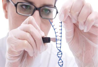 العلماء يكتشفون جينا له علاقة بمرض الربو