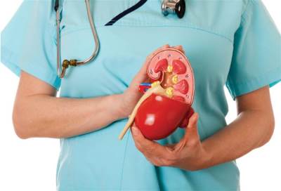 نجاح زرع الكلى دون أدوية لتثبيط المناعة