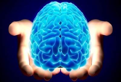 كيف يعمل المخ في اختيار الكلام أثناء الحديث ؟