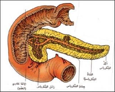 أنجاز طبي .. تدمير سرطان البنكرياس بالموجات الصوتية