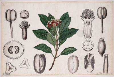 تعرفي على أهم مواصفات المطبخ اليوناني القديم