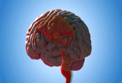 صحة المخ .. تبدأ من الأمعاء
