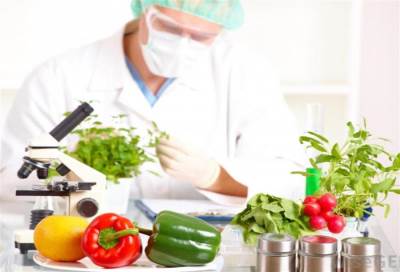 أخطر 10 أنواع من الميكروبات المسببة لتلوث الأغذية