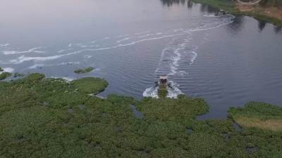 دراسة: سوء إدارة مياه الأنهار هي السبب الرئيسي في ندرة الغذاء