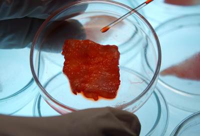 لا تتعجب .. يمكنك الآن زراعة ما تحتاج من اللحم بنفسك