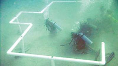 غواصون سعوديون يبنون أول مسجد تحت سطح البحر