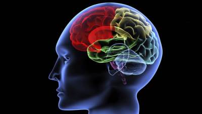 بطاريات للدماغ البشري .. في المستقبل