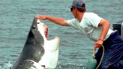 بالفيديو .. سمكة قرش تسرق سمكة من صياد