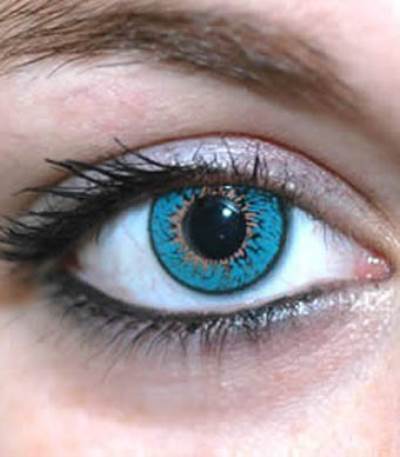 لماذا لا تنمو العين ؟