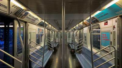  حل لغز العثور علي سمكة قرش بمترو الأنفاق في نيويورك