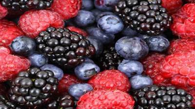 حقيبة جمالك هذا الخريف بلون التوت