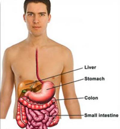 ما هو مرض الـ CELIAC ؟