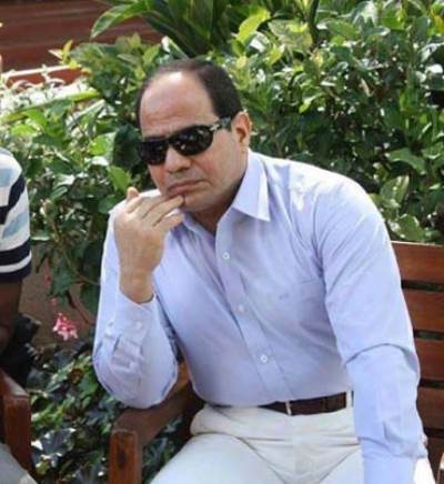 هل يتدخل السيسي بنفسه لحل أزمة زينة وأحمد عز