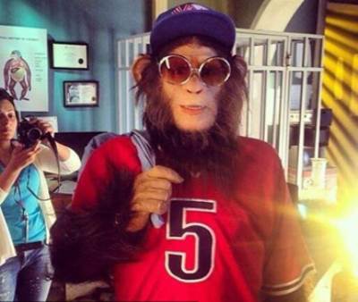 الصورة الأولى لأحمد حلمي بشخصية قرد في العملية ميسي