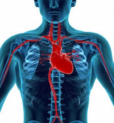 النوم بعد تناول الطعام يسبب الذبحة الصدرية وأمراض القلب