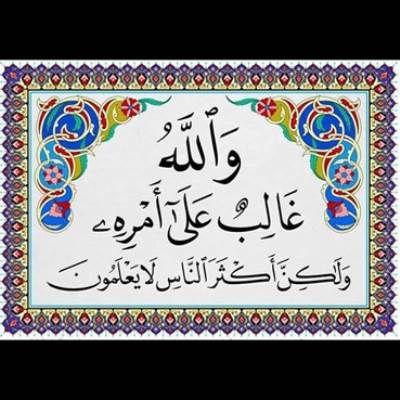 إلزام أحمد عز بإجراء تحليل DNA وهكذا كانت ردة فعل زينة