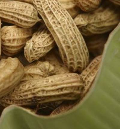 10 نصائح لفقدان الوزن لمن لا يمتلكون الوقت 