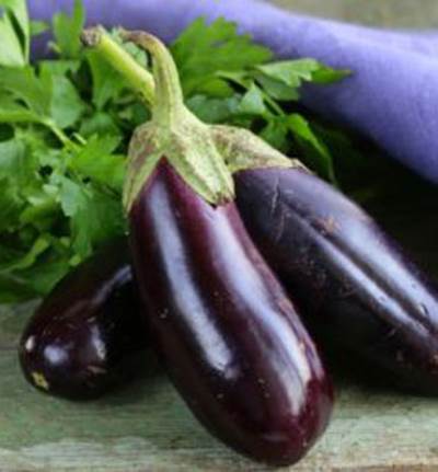 لهذه الأسباب يطلق على البذنجان تسمية "ثمرة الحب"