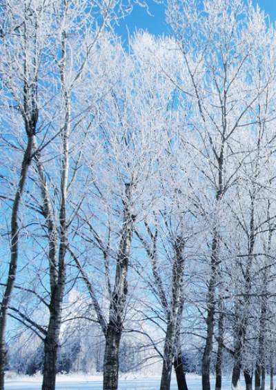 هيئة الأرصاد : الشتاء سيشهد موجات برد عنيفة تصل لتساقط الثلوج