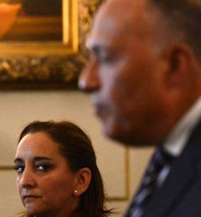 نظرة وزيرة المكسيك لـ "شكري" تشعل مواقع التواصل