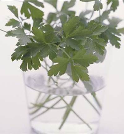 بالصور .. أفكار للحفاظ على الطعام سليما لفترة طويلة