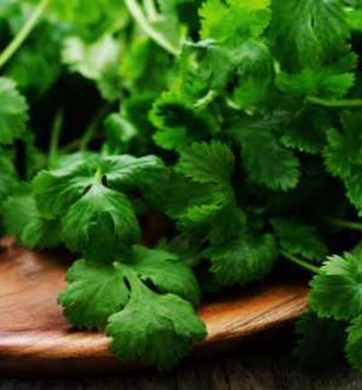  كيف تضيفين الكزبرة فى نظامك الغذائى؟!