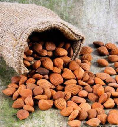 بذور المشمش تهدد حياتك .. لاتتناوليها!