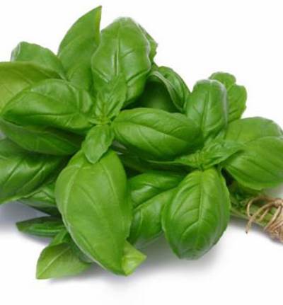 الشمر والريحان يخلصانك من السموم والسوائل الزائدة