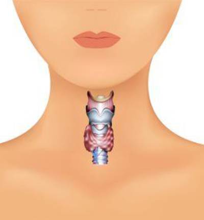 فقدان الوزن والقلق .. أهم أعراض "عقيدات الغدة الدرقية" عند الرجال