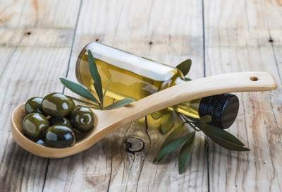 الزيتون .. عرفه الإنسان في الشام قبل سبعة آلاف عام