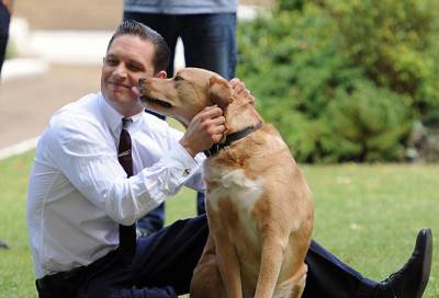 توم هاردي حزين على فقدان كلبه