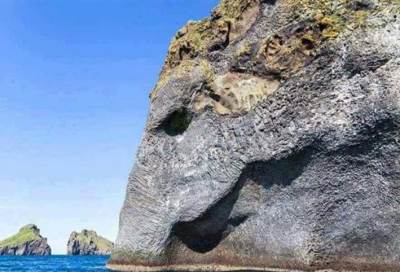 بالصور .. صخرة على شكل فيل تثير إعجاب الجميع