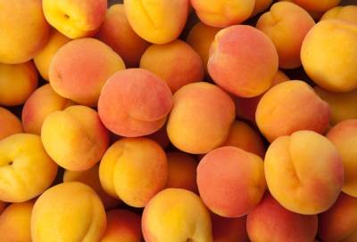 تعرفي معنا علي فوائد المشمش الغذائية