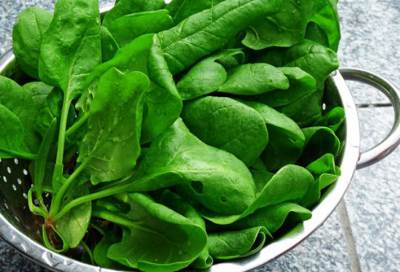 تعرفي علي فوائد السبانخ