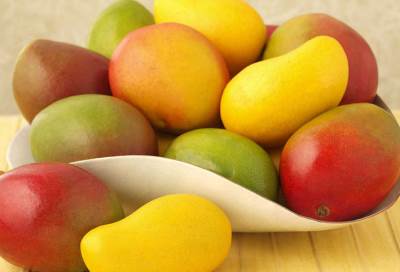 المانجو .. الملك غير المتوج لمملكة الفواكه