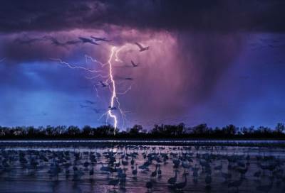 أحمل الصور التي تم التقاطها في 2017