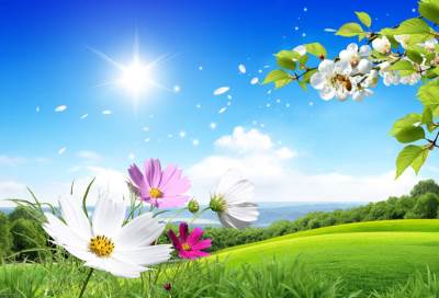 القبض على قس بتهمة بيع تذاكر ذهبية لدخول الجنة بـ 500 دولار