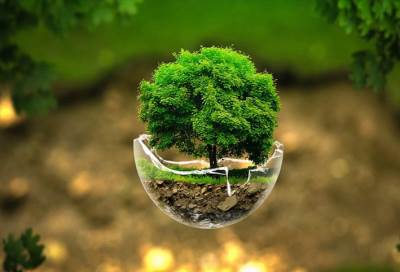 يوم البيئة العالمي 2018: منتجات عناية شخصية تدمر البيئة